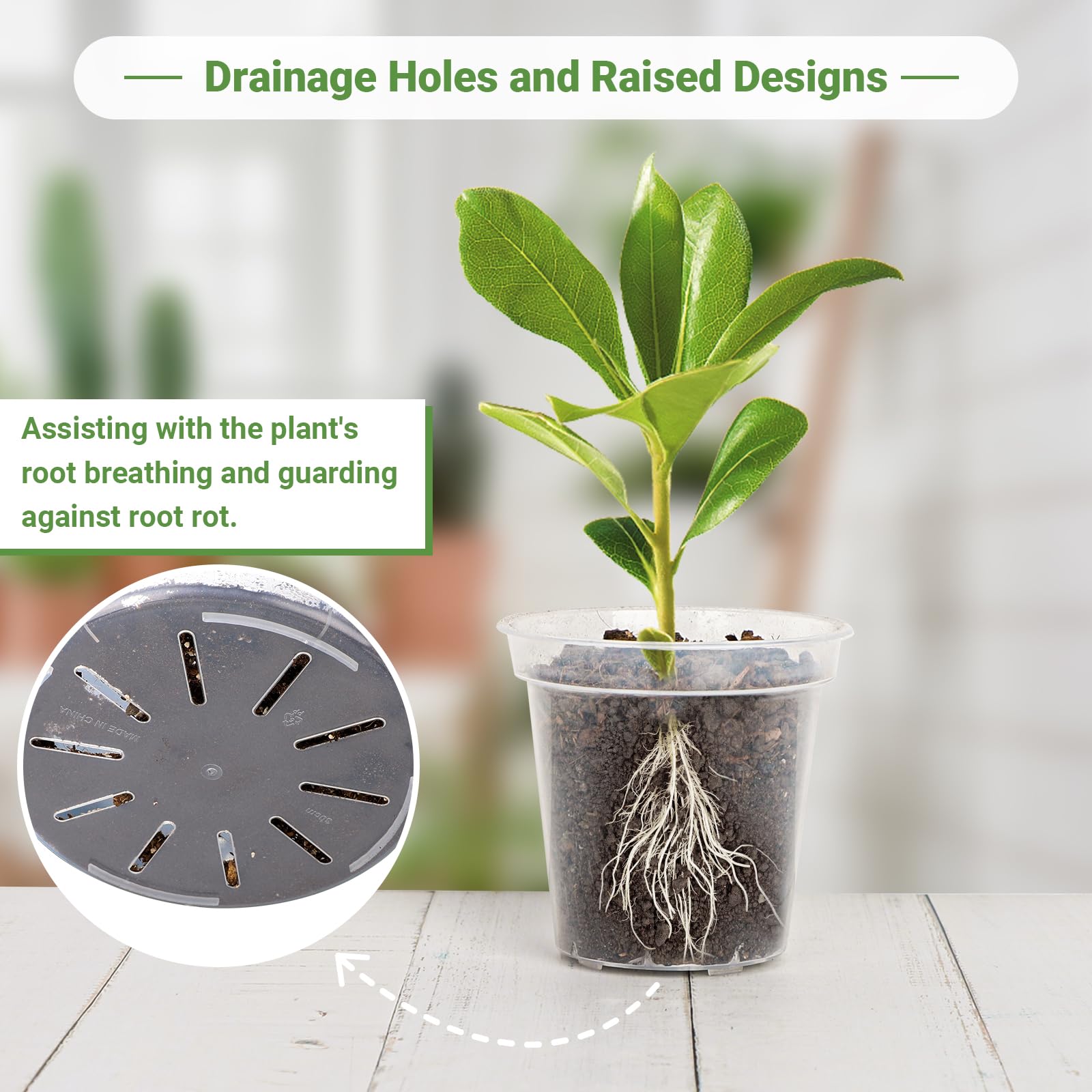 GREANER planter in use with seedling demonstrating visible root and soil health benefit