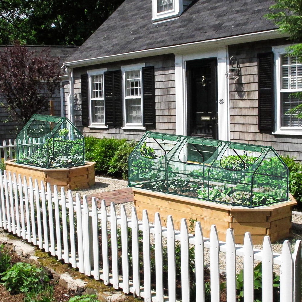 GreatBuddy greenhouse on a patio demonstrating outdoor use