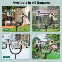 GRECOMEIN pole in backyard with feeders attracting birds and improving viewing enjoyment
