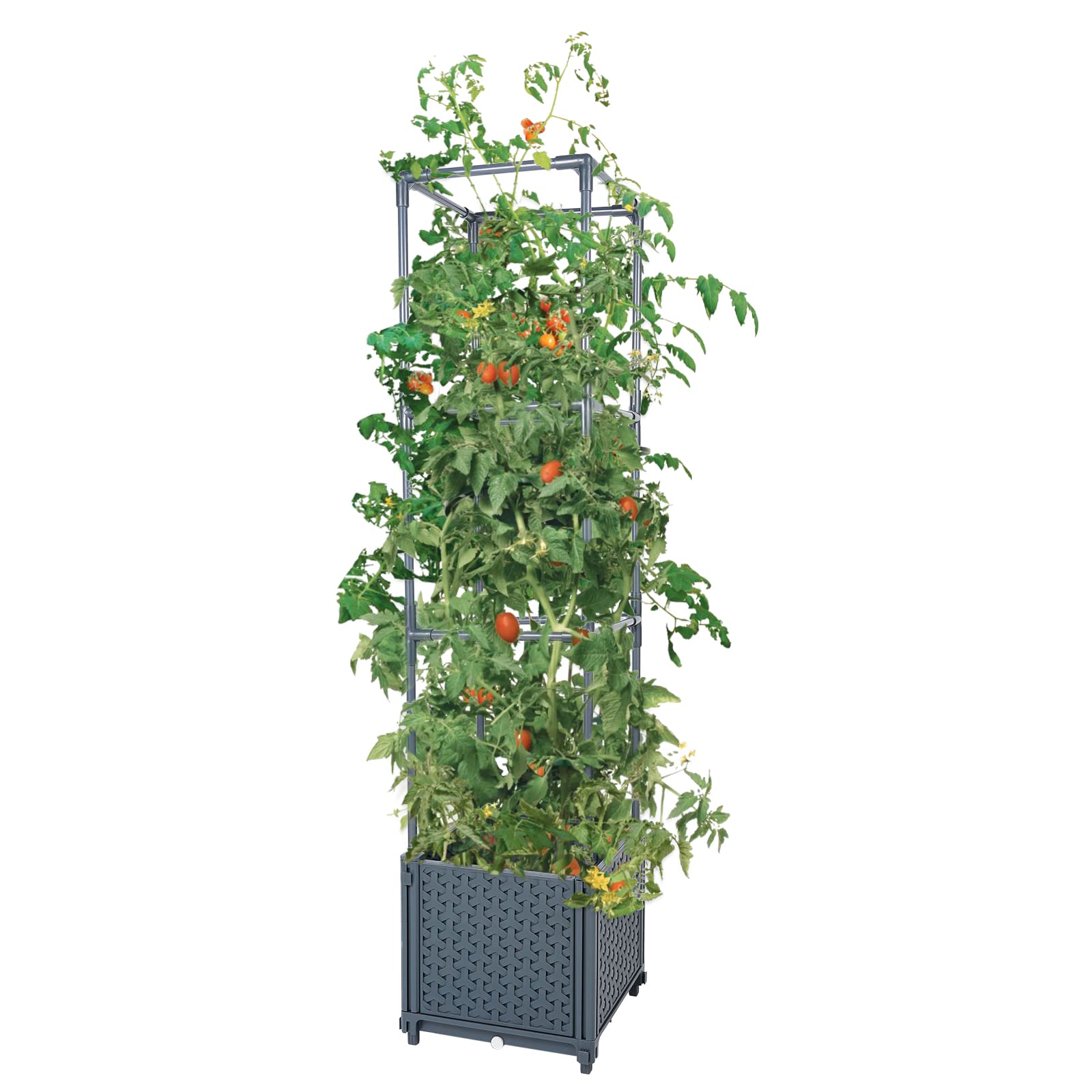 GREEN MOUNT front view showing raised bed and trellis, ideal for compact gardens