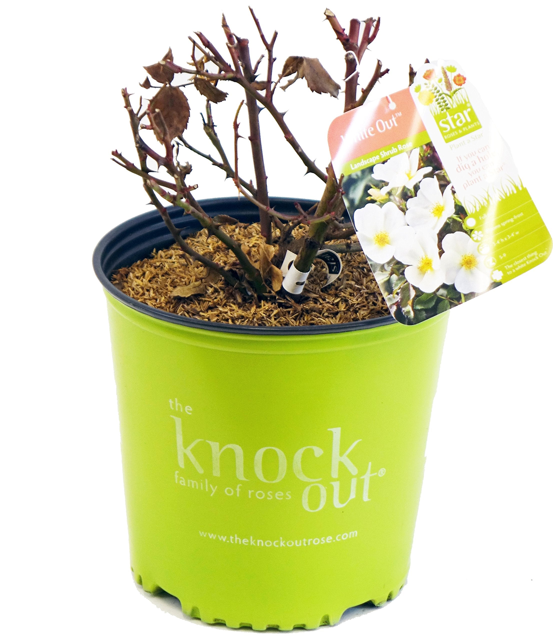 Green Promise Farms product label and soil close-up showing ready-to-plant condition and assurance