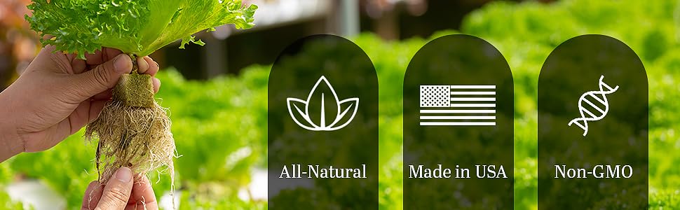 GreenEden used in container garden demonstrating healthier houseplants