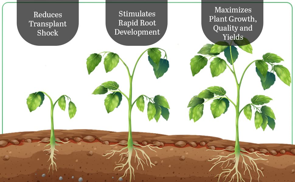 GreenEden bottle label detail showing ingredients and organic focus