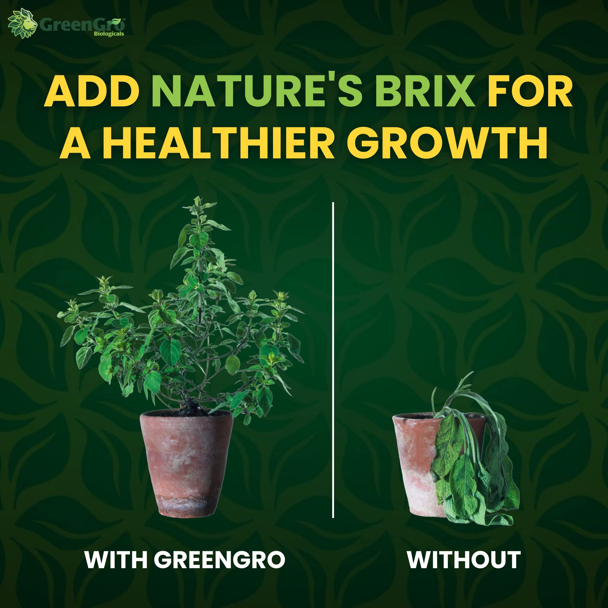 GreenGro used in compost tea showing microbial feeding and aeration benefit