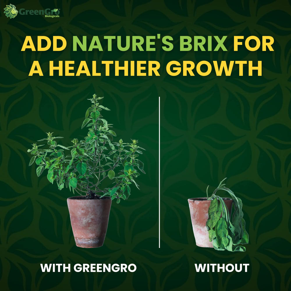 GreenGro used in compost tea showing microbial feeding and aeration benefit