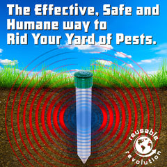 GreenLighting installed flush in lawn showing mow-over profile for easy lawn care benefit