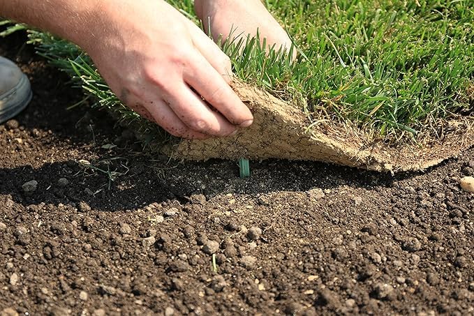 GreenStake peg in soil showing biodegrading benefit and reduced waste