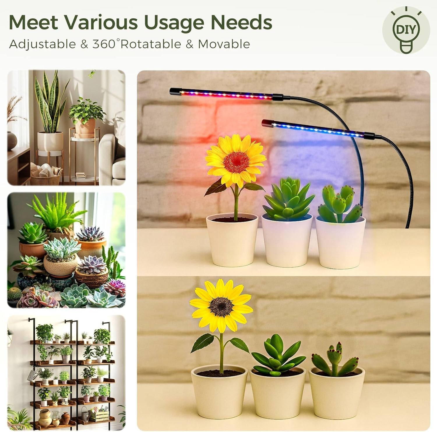 greenstell displayed with multiple plants in a living room for aesthetic appeal