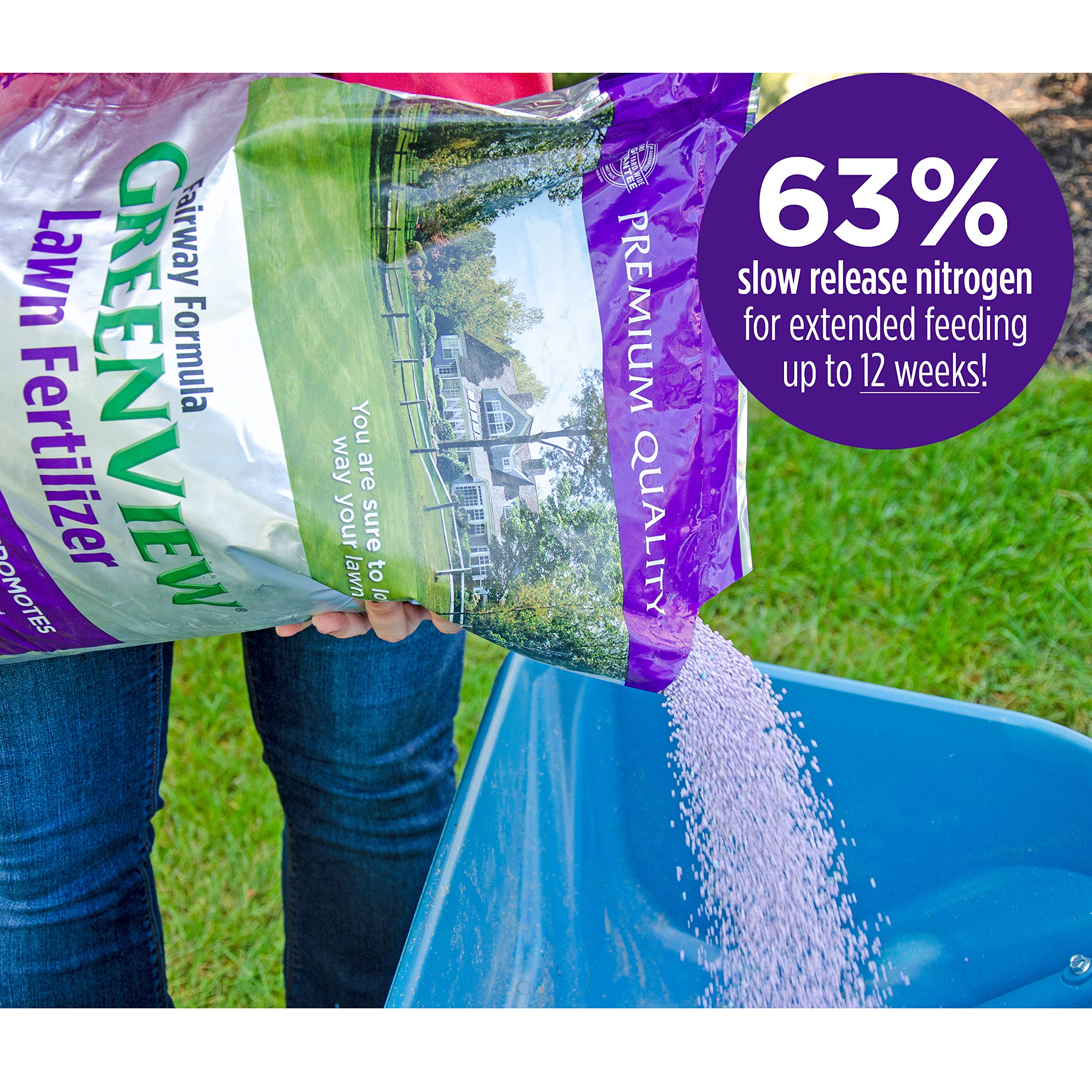 GreenView treated lawn with deep green color and thicker turf