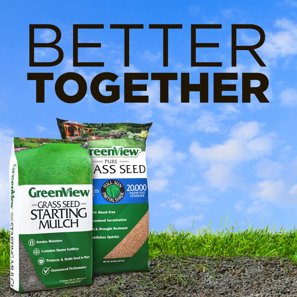 GreenView product in a backyard setting demonstrating neat lawn renovation