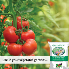 Vegetable bed after GreenView application demonstrating healthier growth