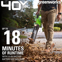 Greenworks concentrator nozzle close-up for precise clearing in corners