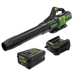 Greenworks blower front view showing design and fast cleanup benefit