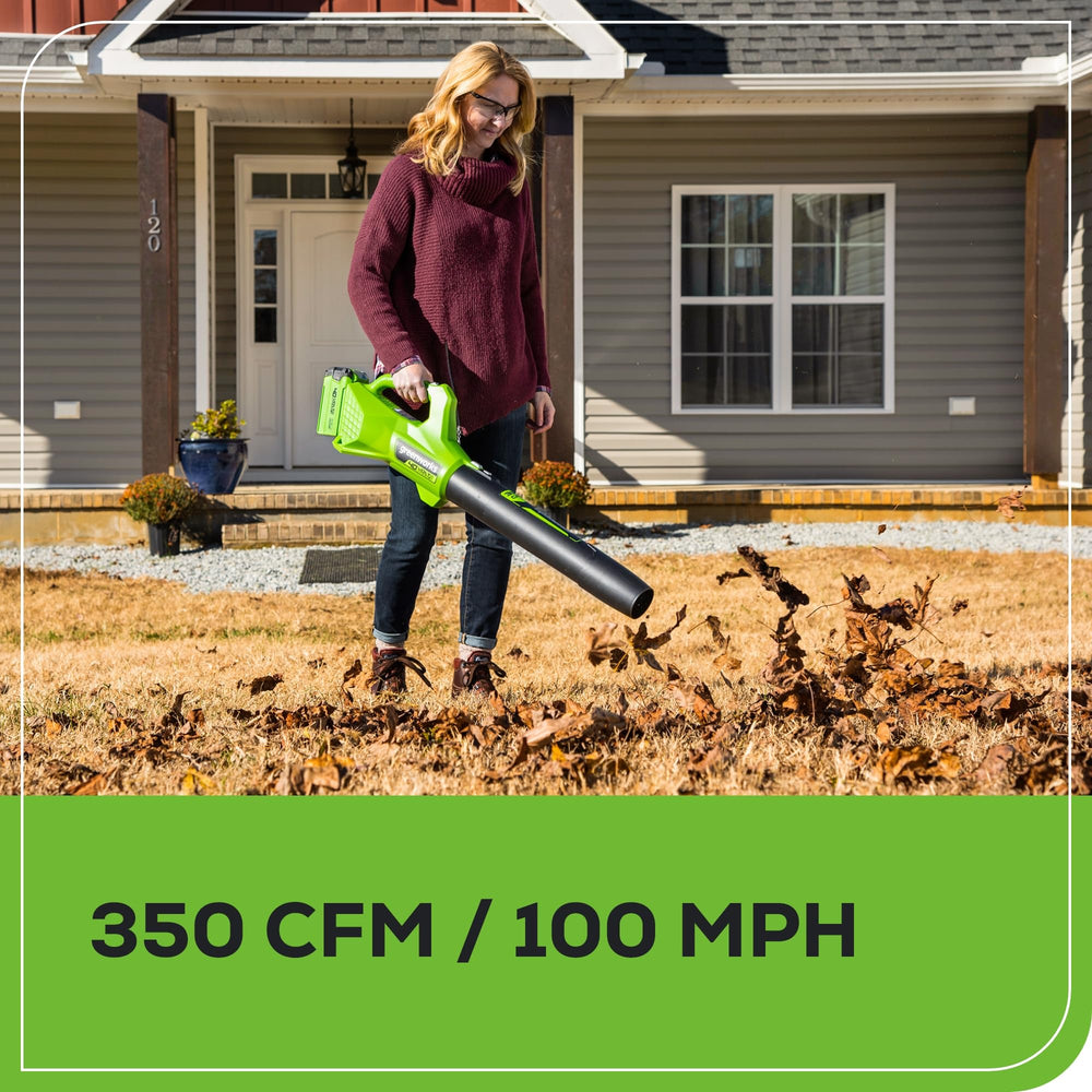 Greenworks blower airflow demo on driveway for efficient debris removal
