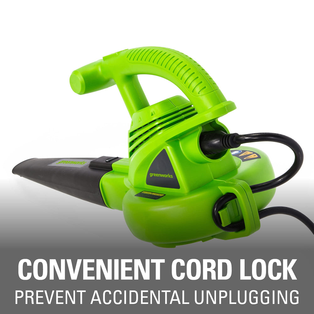 Greenworks blower in use on driveway clearing leaves efficiently