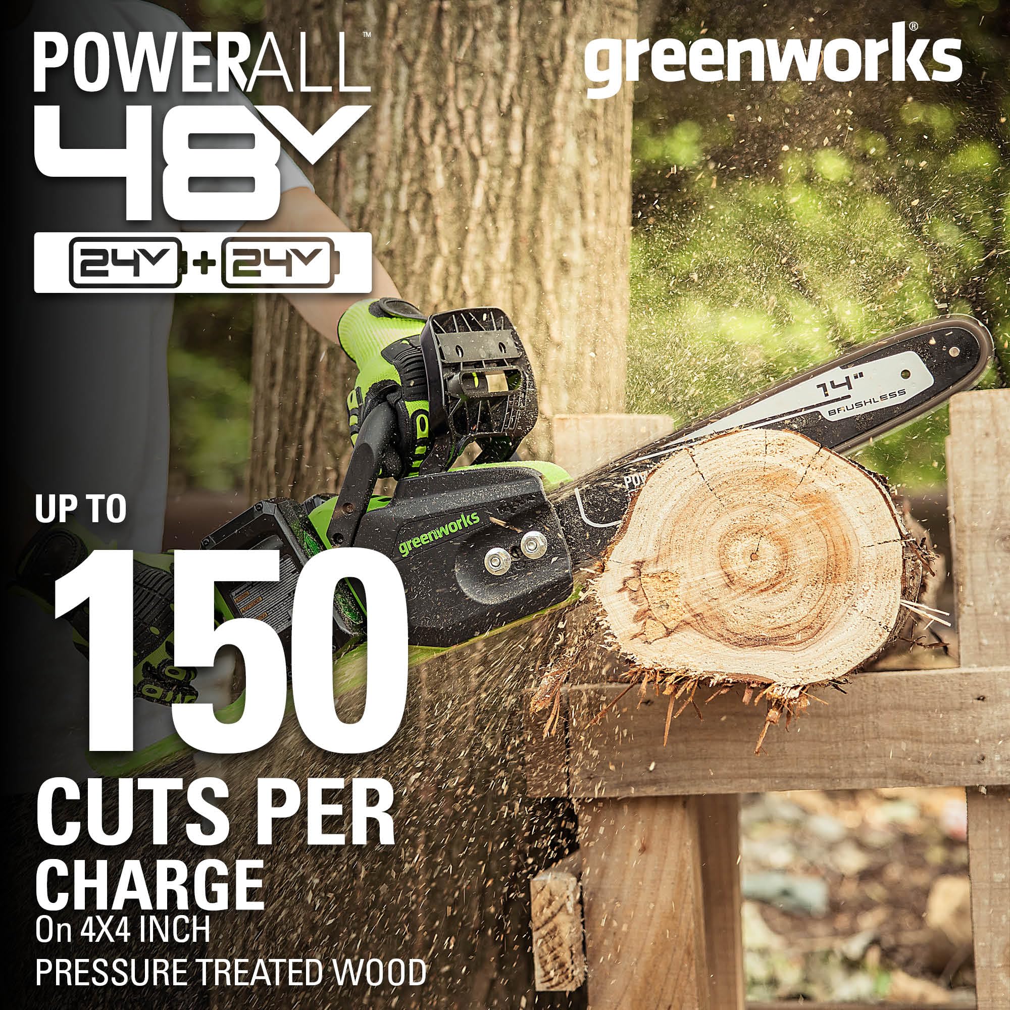 Greenworks brushless motor detail highlighting increased torque and efficiency