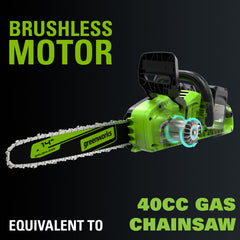 Greenworks automatic oiler detail showing consistent chain lubrication