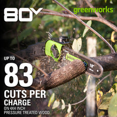 Greenworks handle and push-button controls close-up showing simple starting and user comfort