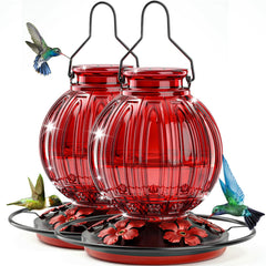 Grete Gotye front view glass feeder showing retro shape and capacity benefit