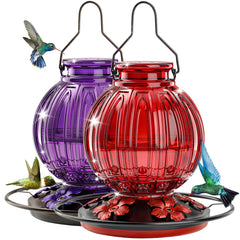 Grete Gotye front view of red and purple feeders showing colorful appeal and durability