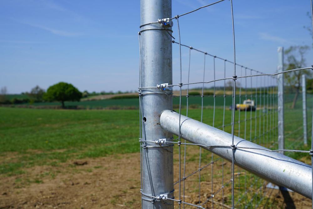 GRIPPLE T-Clip used on a farm fence with livestock showing professional results