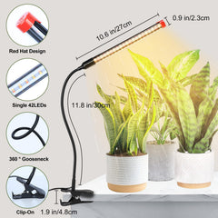 GroCruiser spotlight shining on succulent to boost indoor growth