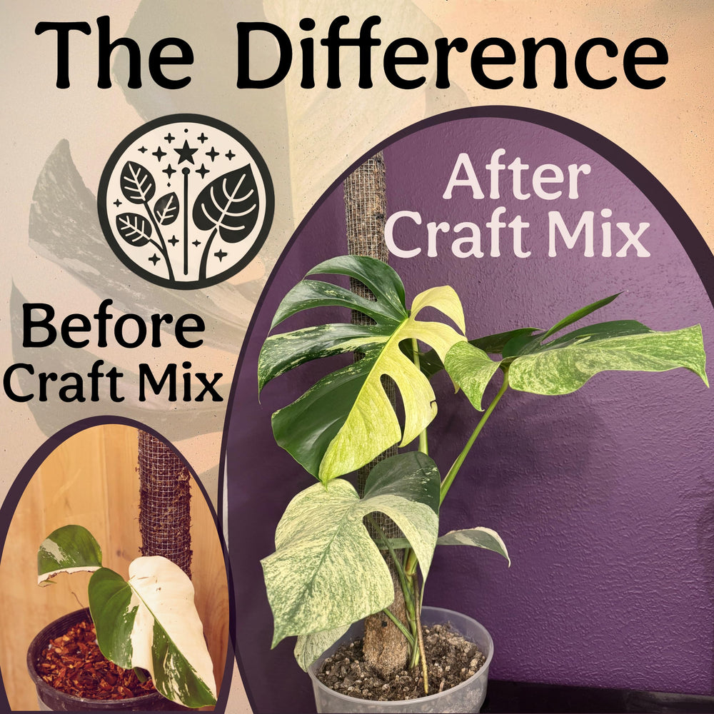 Grow Queen pumice and lava rock mix for fast drainage and structure