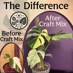 Grow Queen pumice and lava rock mix for fast drainage and structure