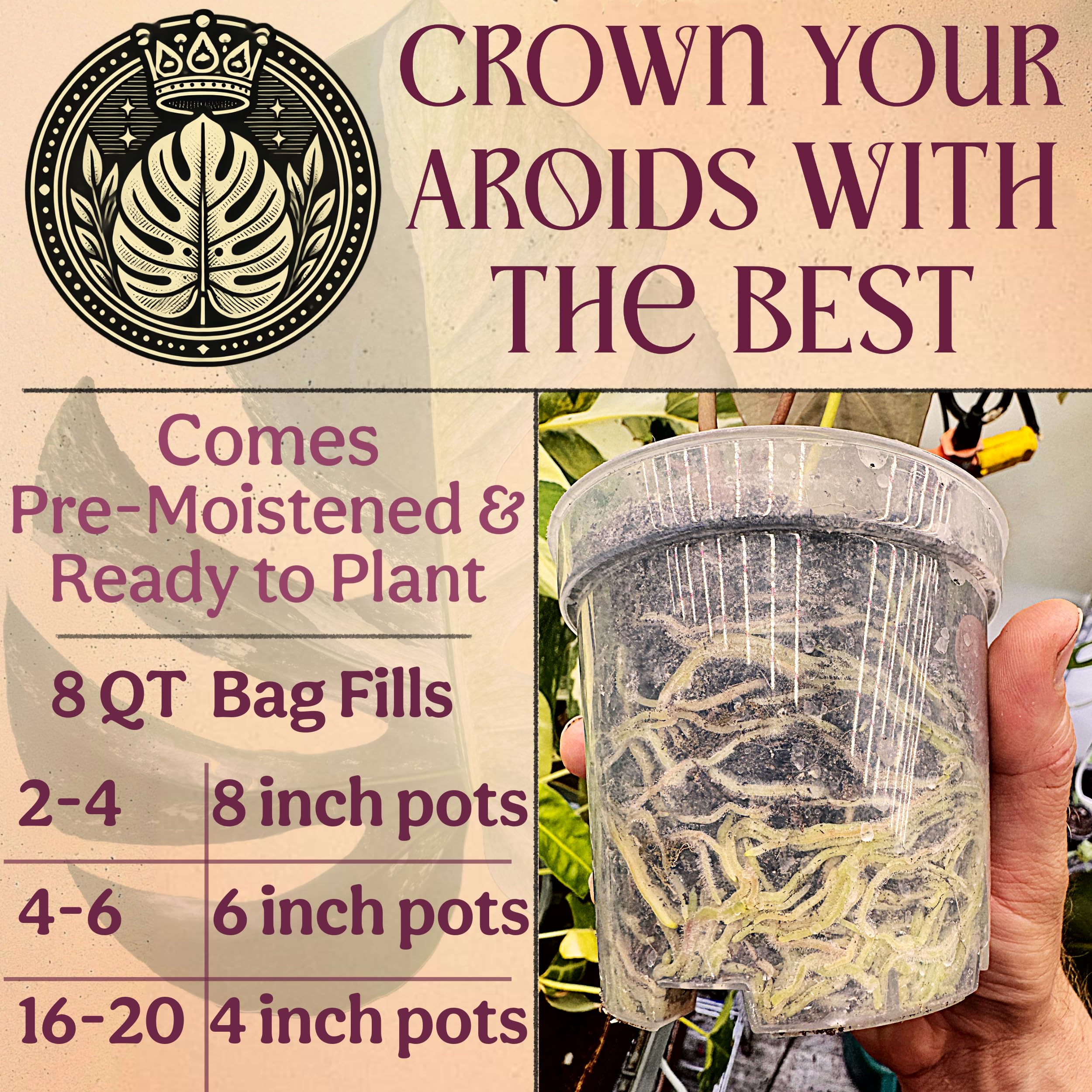Grow Queen New Zealand tree fern fiber sample enhancing pH and conditioning