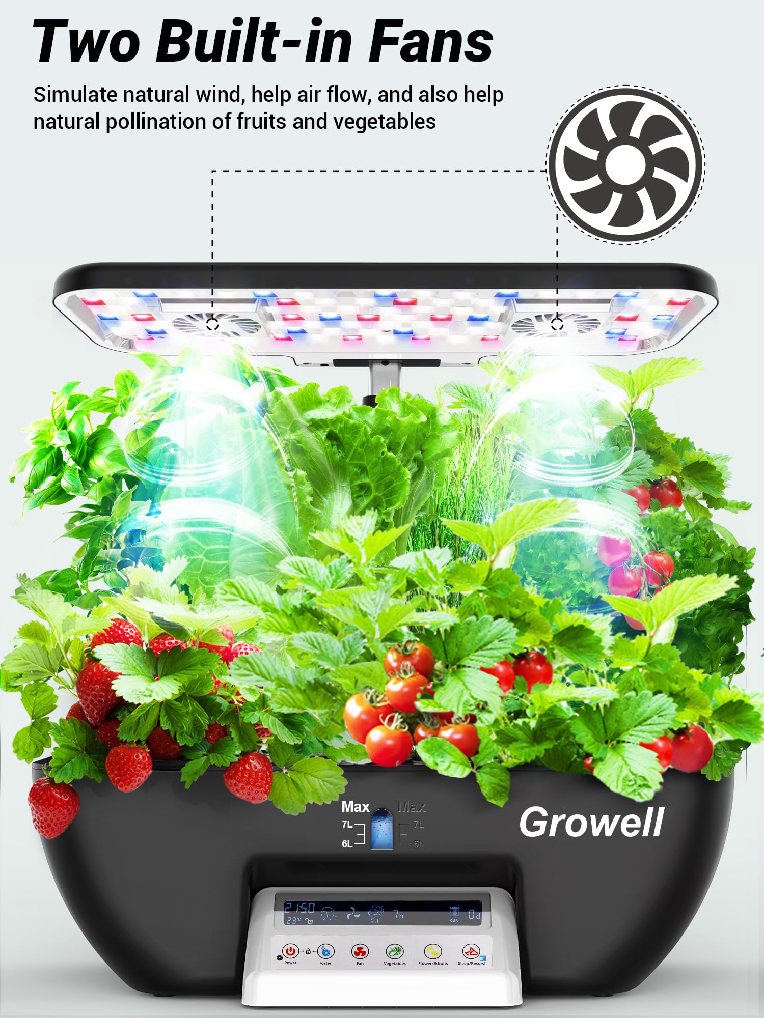 Growell planting pod basket and sponge arranged for neat transplanting and support
