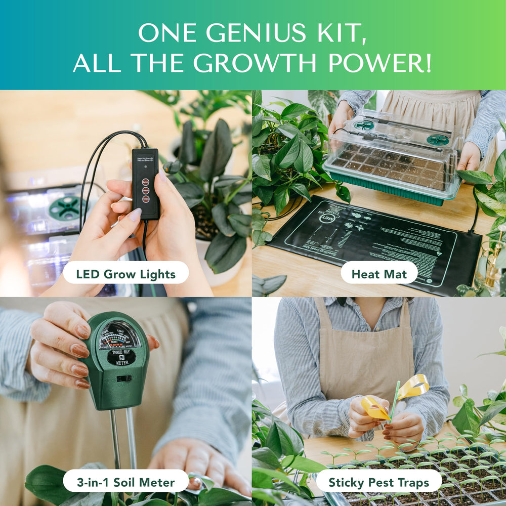 GROWFRIEND humidity dome with vents open controlling moisture to prevent mold