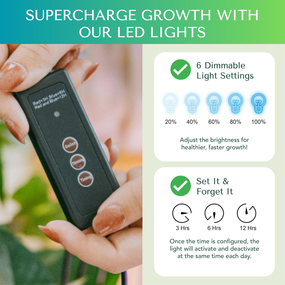 GROWFRIEND soil moisture meter in use preventing overwatering and improving seedling health