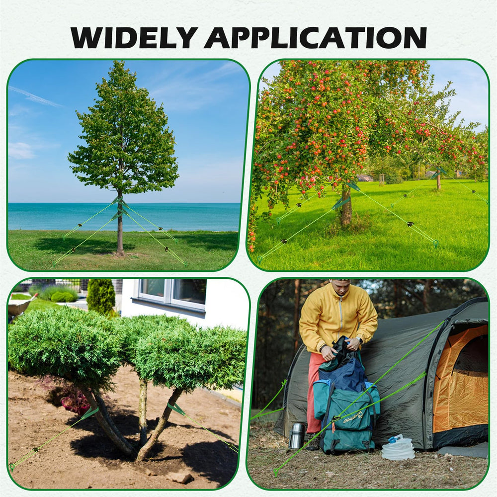 GrowGlow backyard scene with installed stakes and rope illustrating safe, tidy tree support