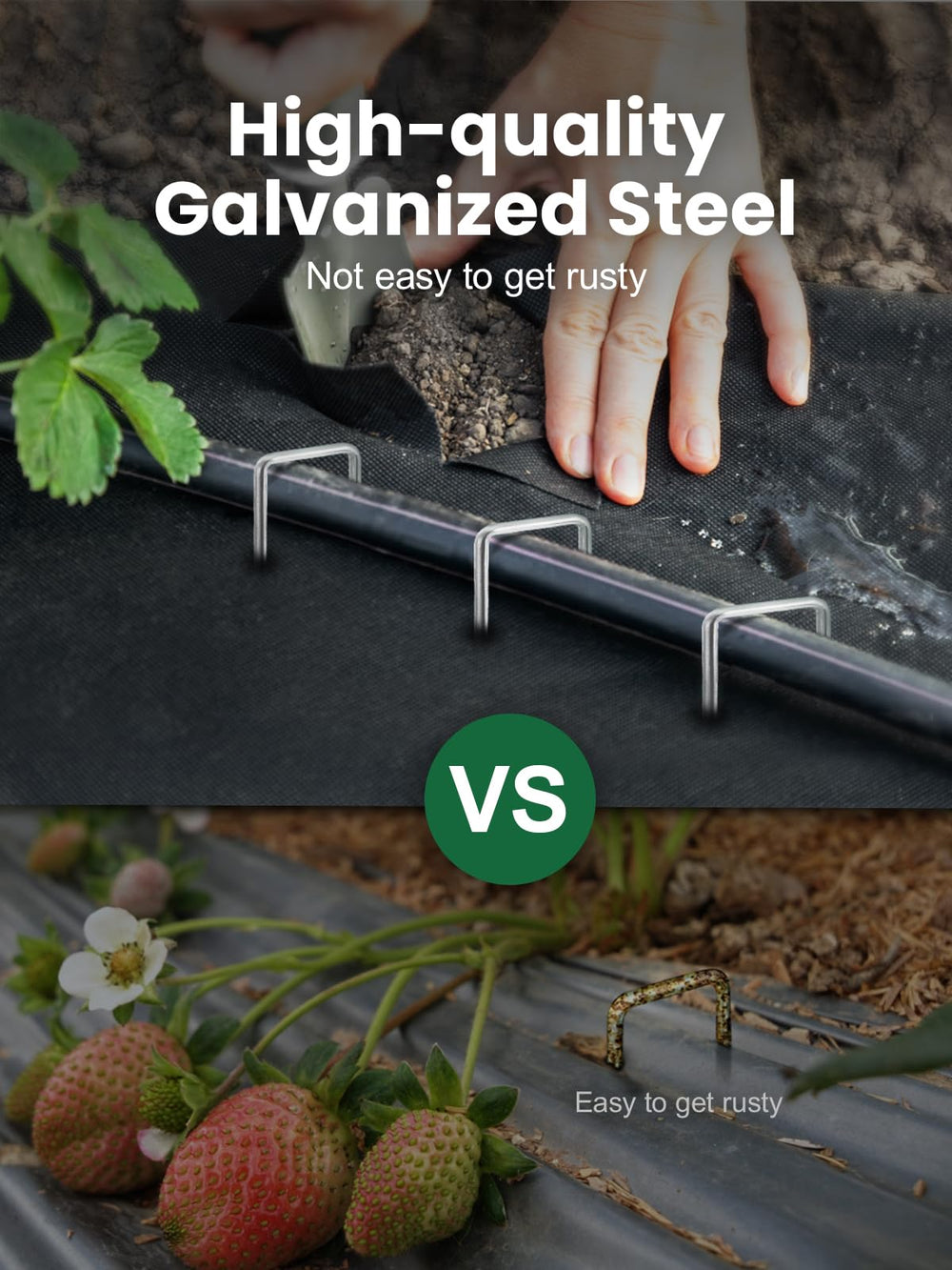 GROWNEER staples anchoring drip irrigation tubing, preventing movement