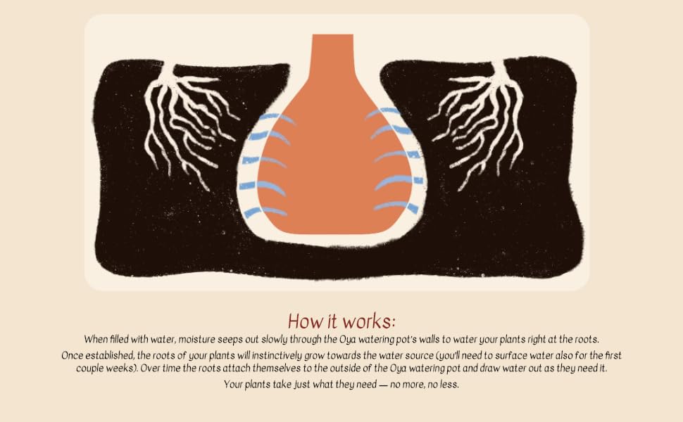 Growoya medium OYA with brush and vinegar for cleaning showing low-maintenance benefit