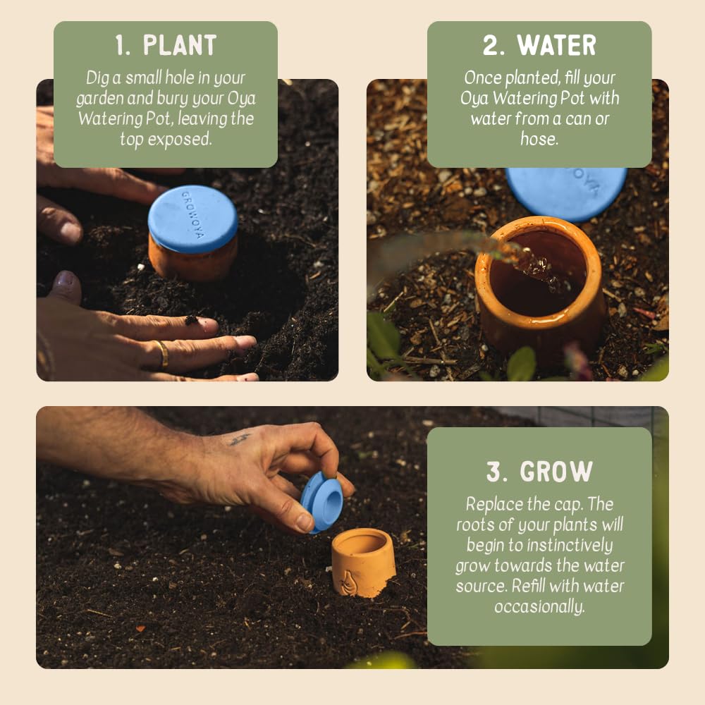 Growoya medium OYA placed in a raised bed demonstrating water-saving gardening benefit