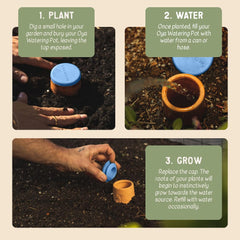 Growoya medium OYA placed in a raised bed demonstrating water-saving gardening benefit