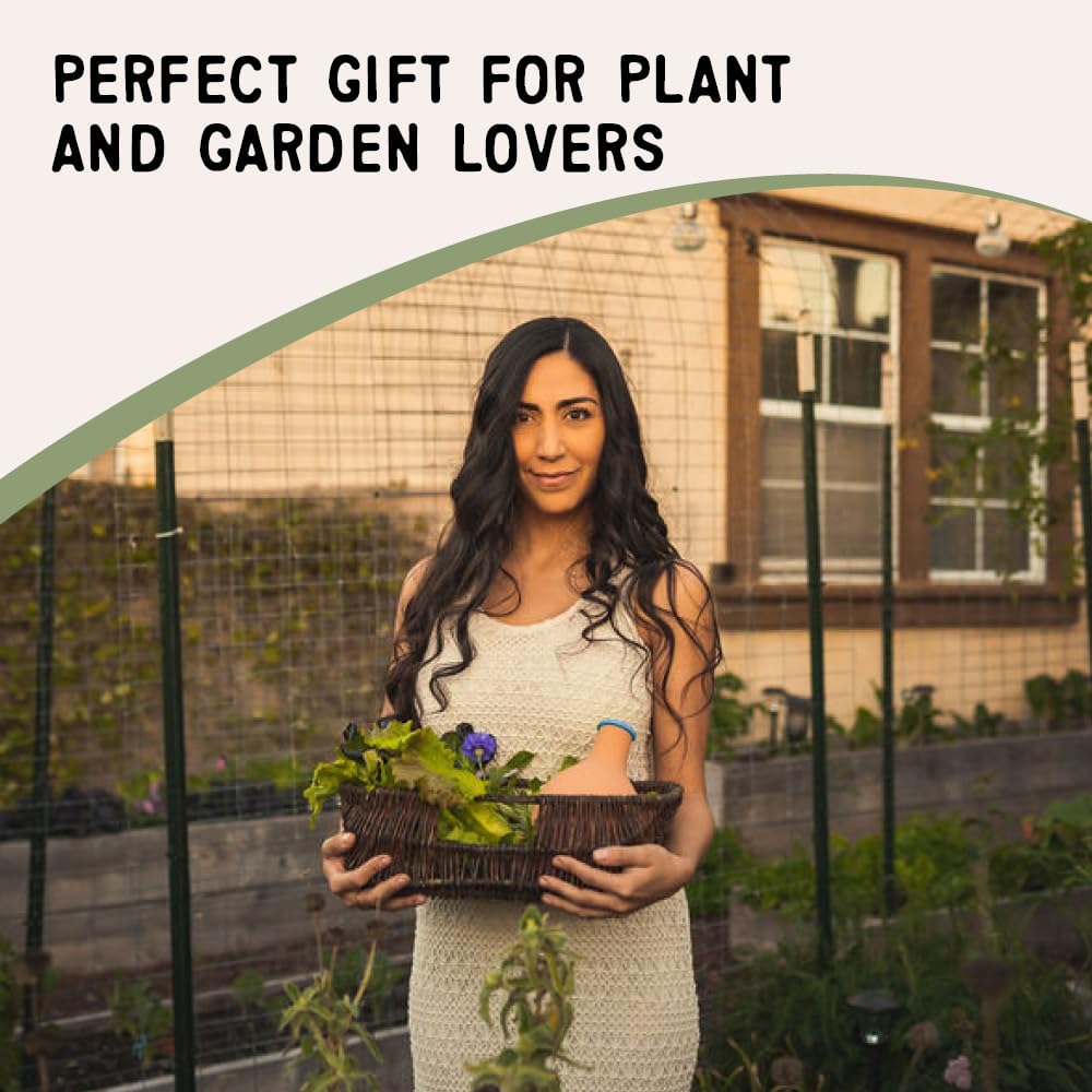 Growoya medium OYA placed among plants overhead showing efficient multi-plant watering benefit