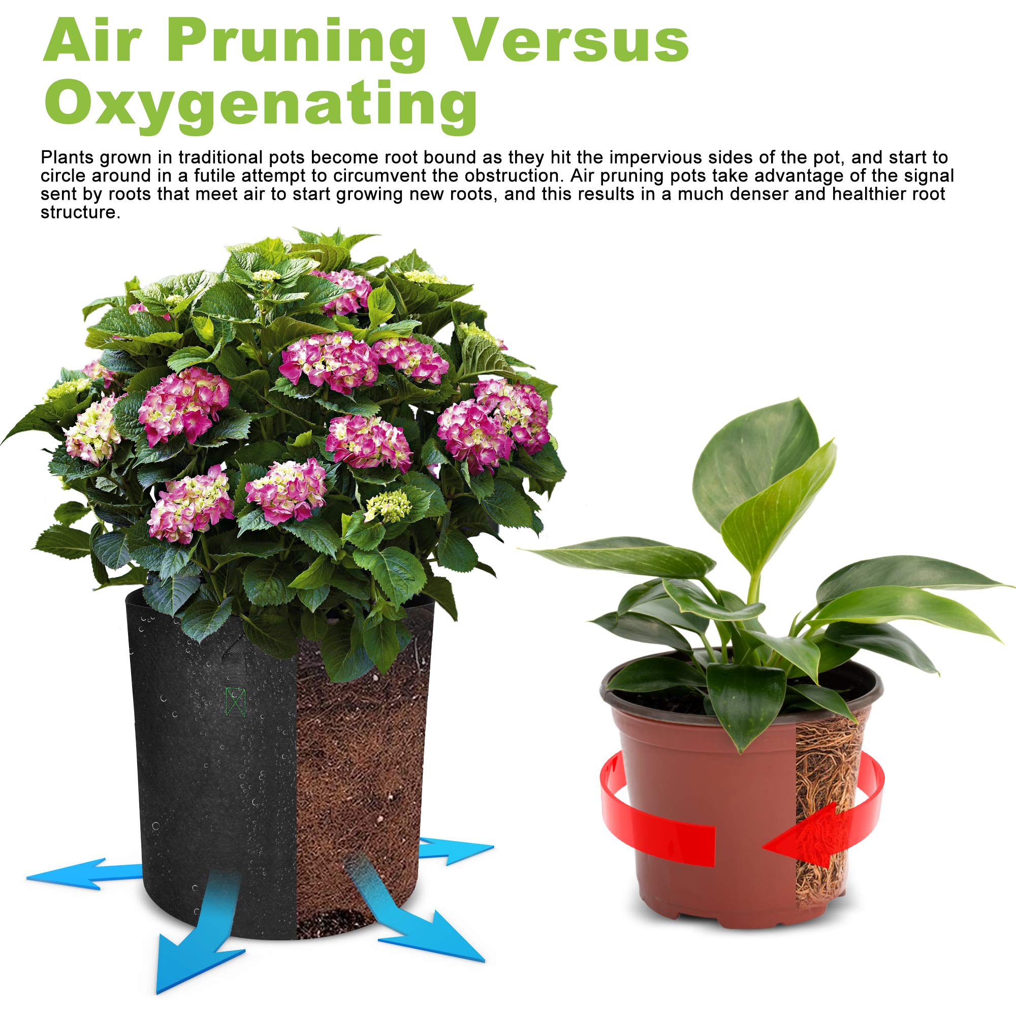 Growpropel 30 gallon bag planted with tomato demonstrating robust plant growth