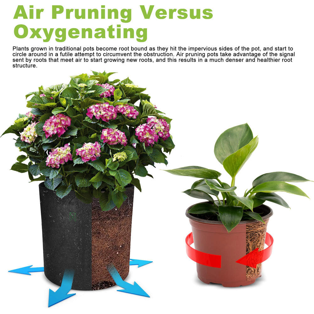 Growpropel 30 gallon bag planted with tomato demonstrating robust plant growth