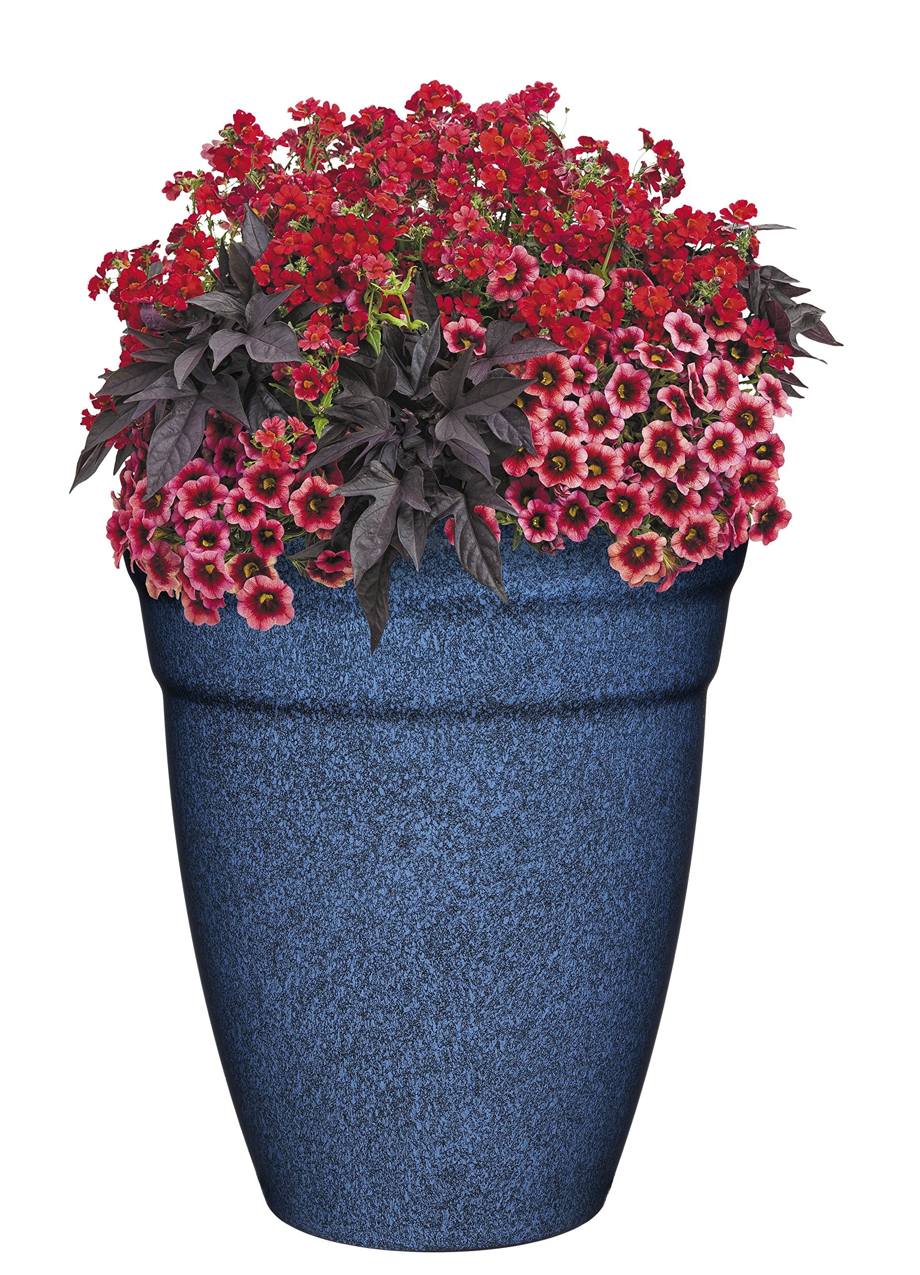 GROWSCAPE Allaire styled in living room demonstrating decorative impact