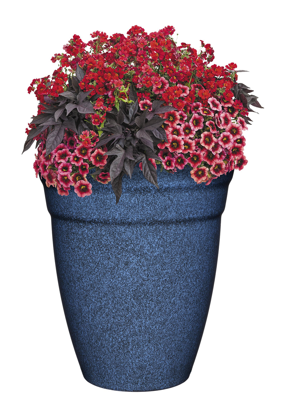 GROWSCAPE Allaire styled in living room demonstrating decorative impact