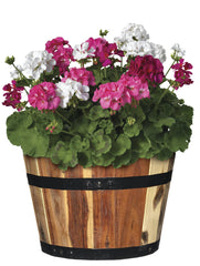 GROWSCAPE nested set demonstrating three sizes for layered displays and easy storage