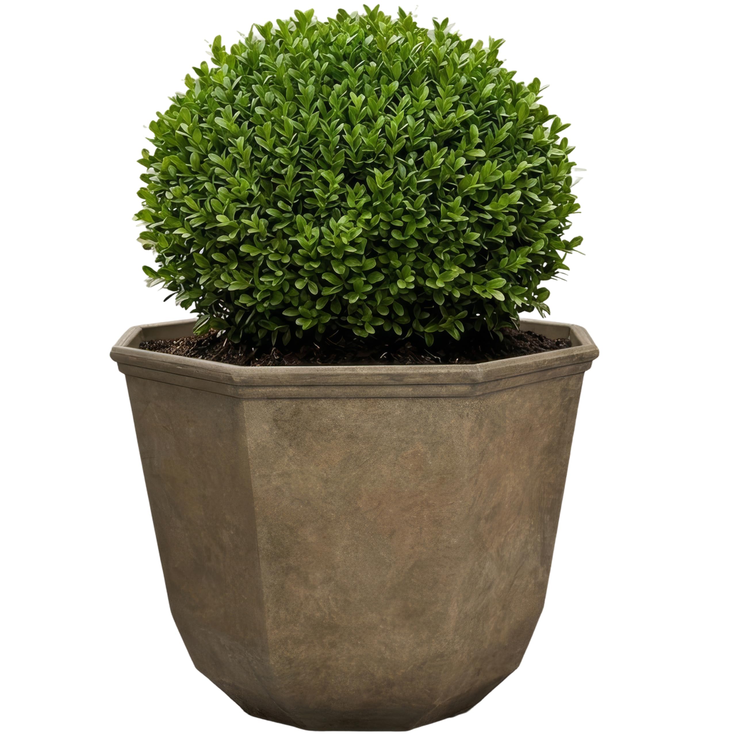 GROWSCAPE Shaina front view showcasing pottery finish and modern style