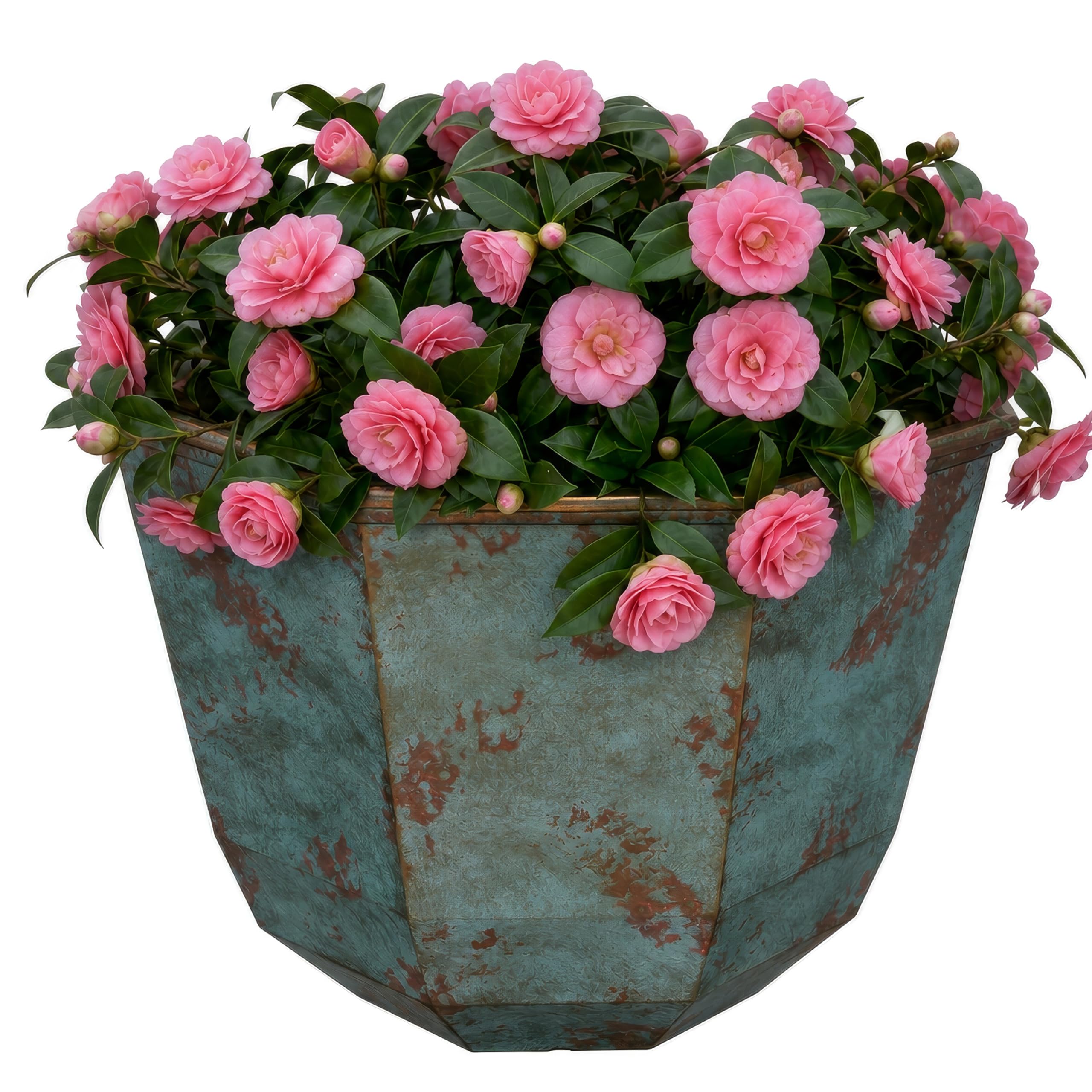 GROWSCAPE Shaina front view showing patina copper finish and modern look