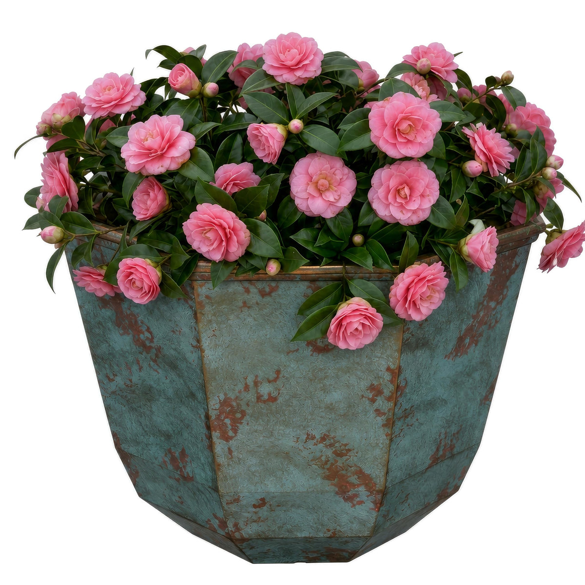 GROWSCAPE Shaina front view showing patina copper finish and modern look
