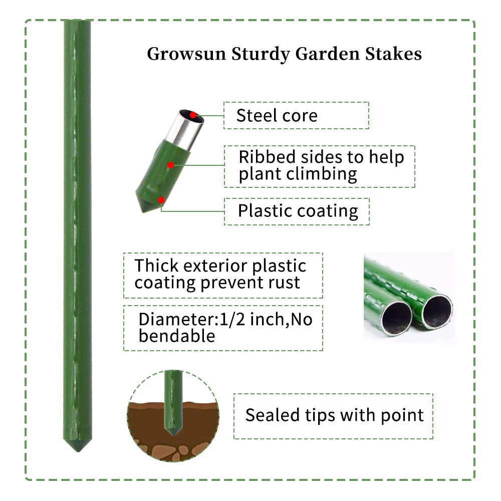 Growsun stakes planted in soil to show 5ft scale and in-ground stability