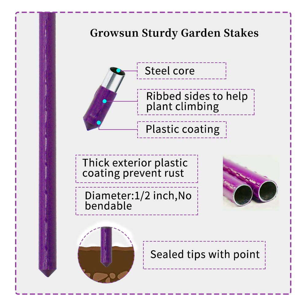 Growsun stake supporting a tomato plant, improving upright growth and fruit load support