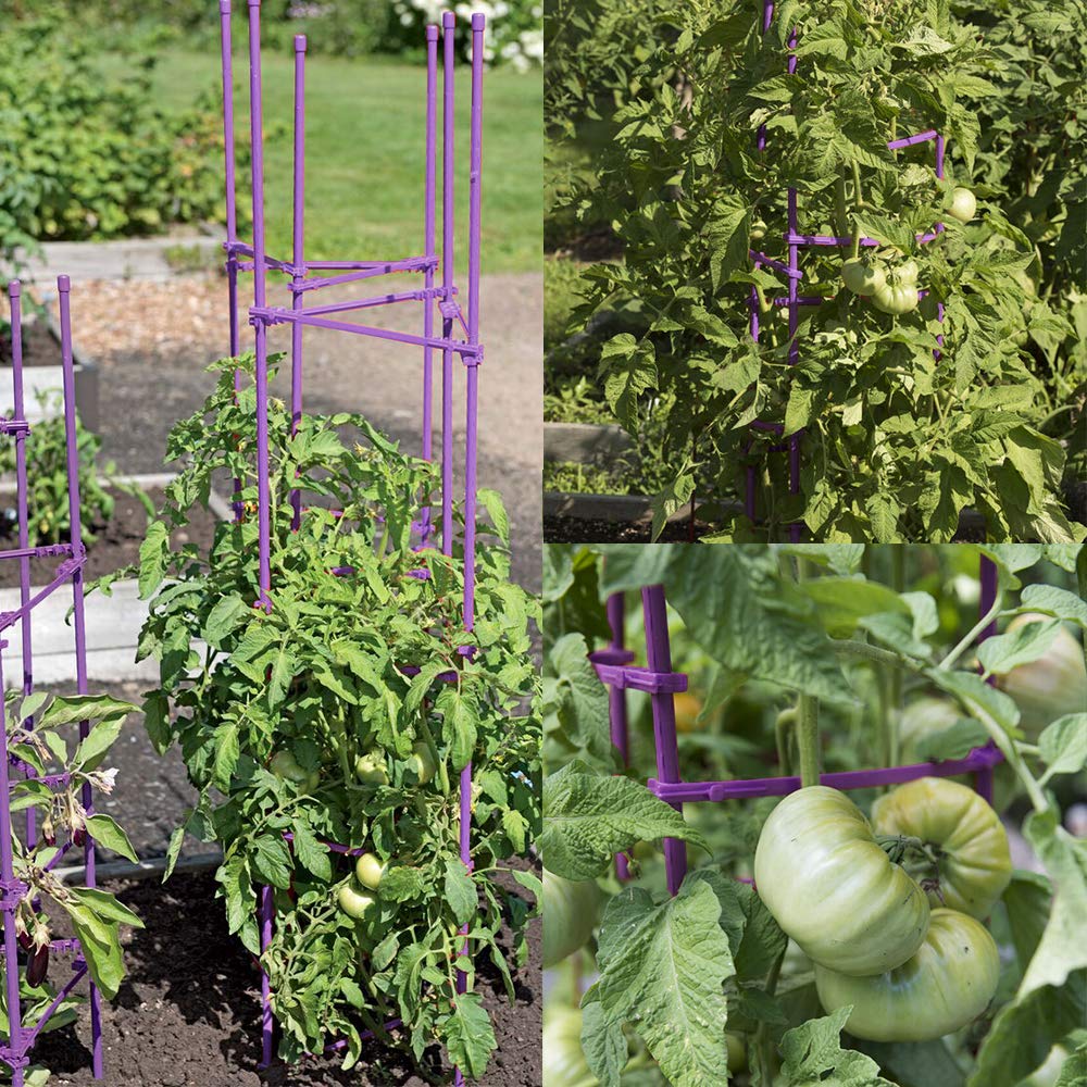 Growsun packaging laid out showing six full-length stakes and included clips