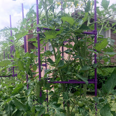 Growsun view of steel core strength inside coated stake for long-lasting support